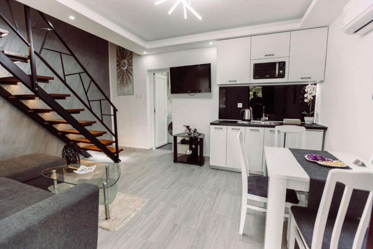 Aria Apartment Cetinje Bagian luar foto