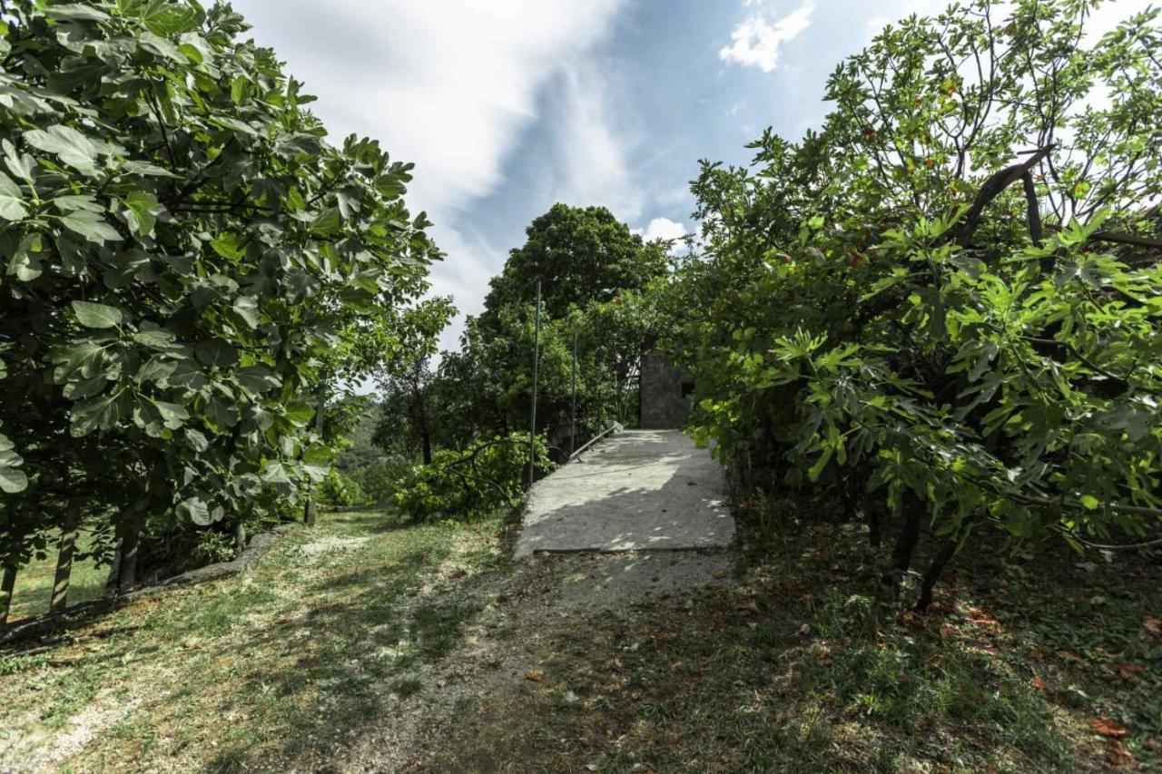 Aria Apartment Cetinje Bagian luar foto