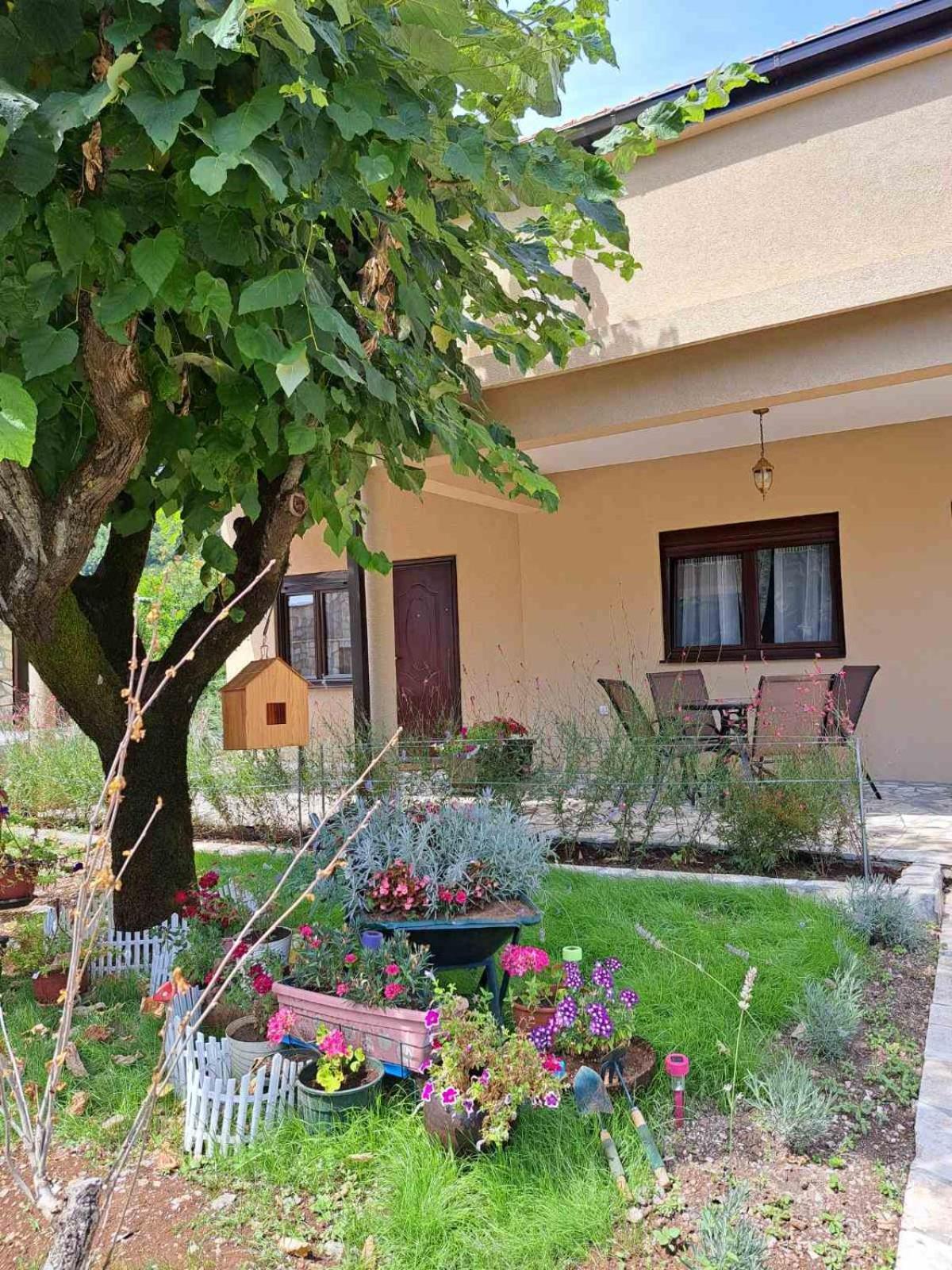 Aria Apartment Cetinje Bagian luar foto