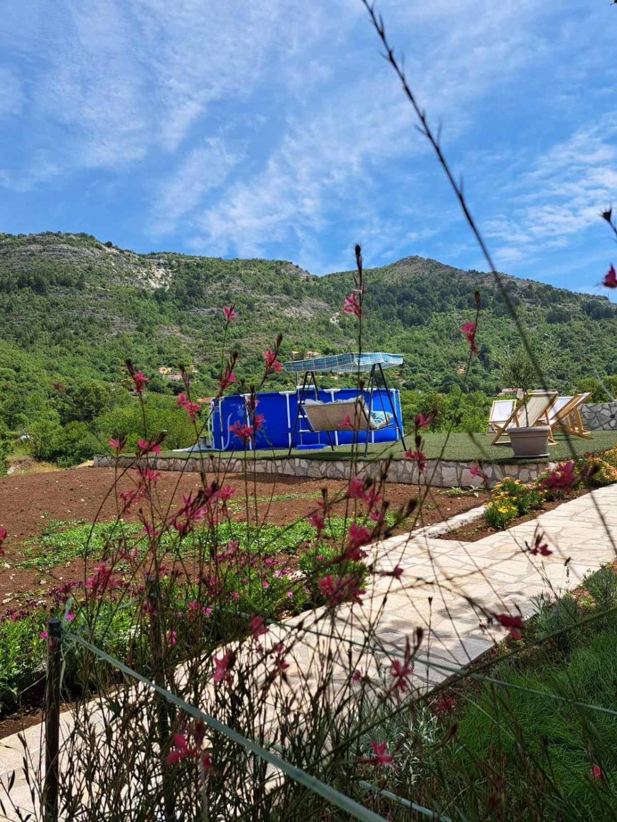 Aria Apartment Cetinje Bagian luar foto