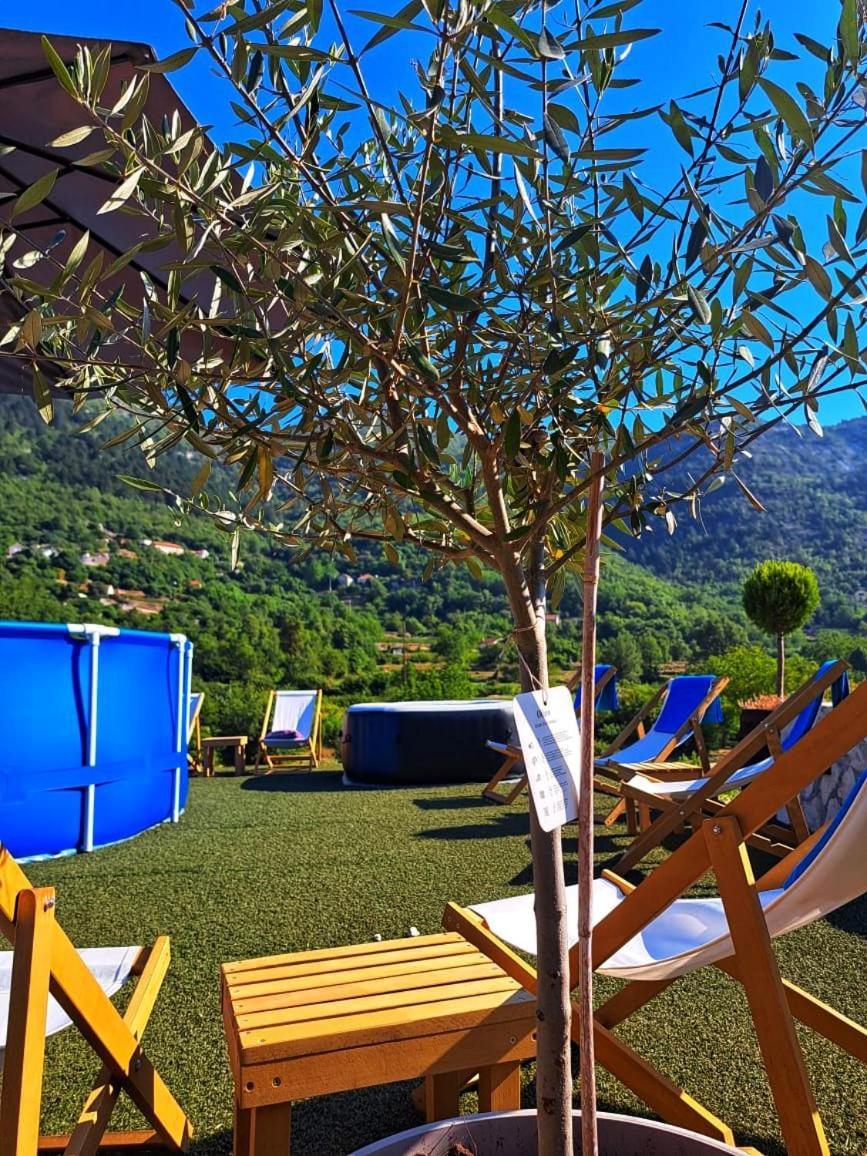 Aria Apartment Cetinje Bagian luar foto